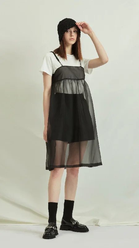 Single Layer Sheer Dress